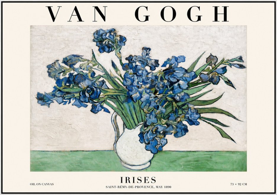 Van Gogh Irises II No6 - Póster