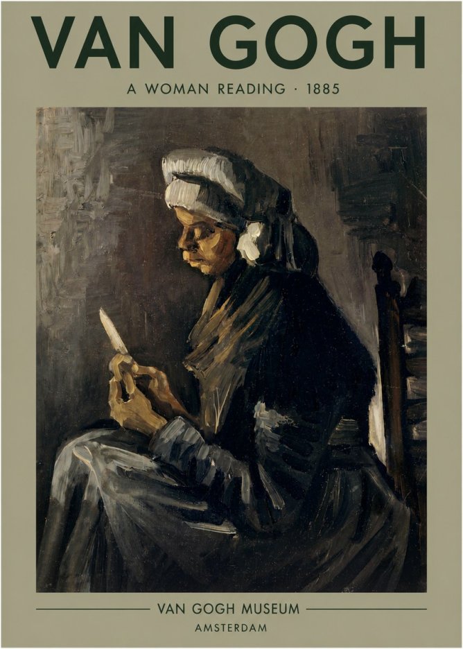 Van Gogh A Woman Reading No3 - Póster