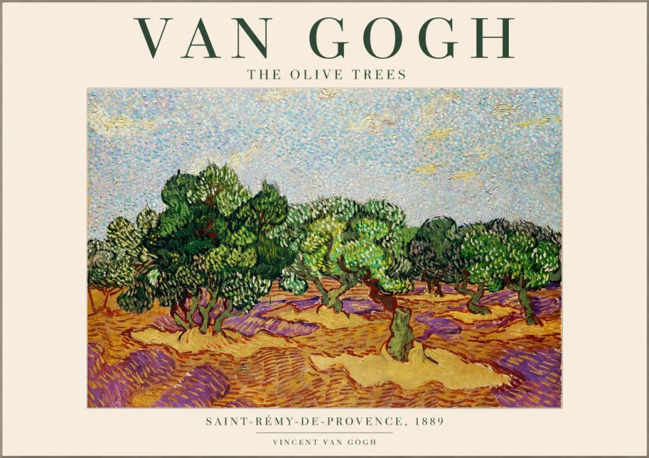 Van Gogh The Olive Trees No1 - Póster
