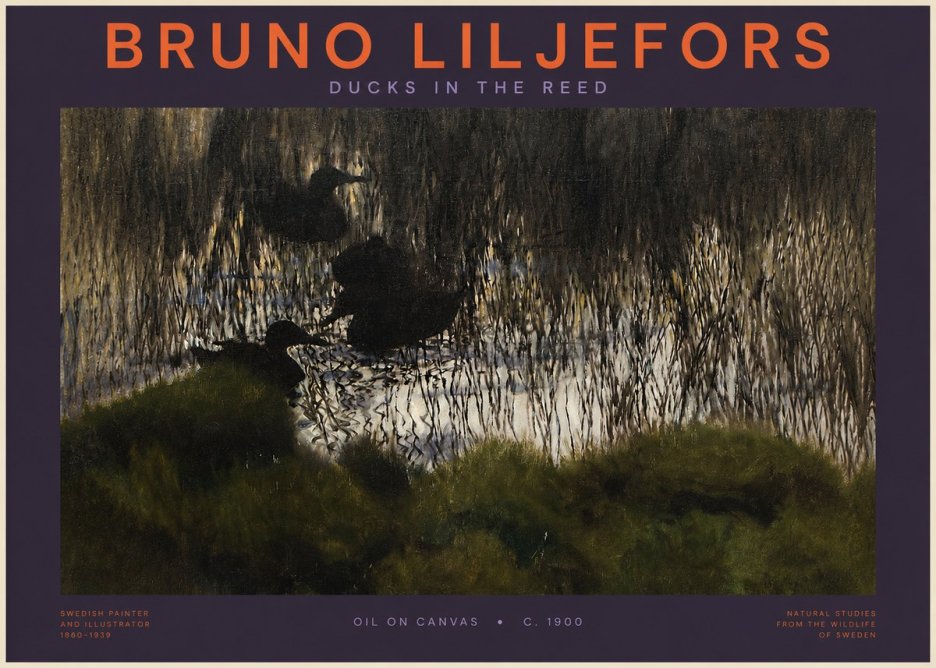 Bruno Liljefors Ducks in the Reed No2 - Póster