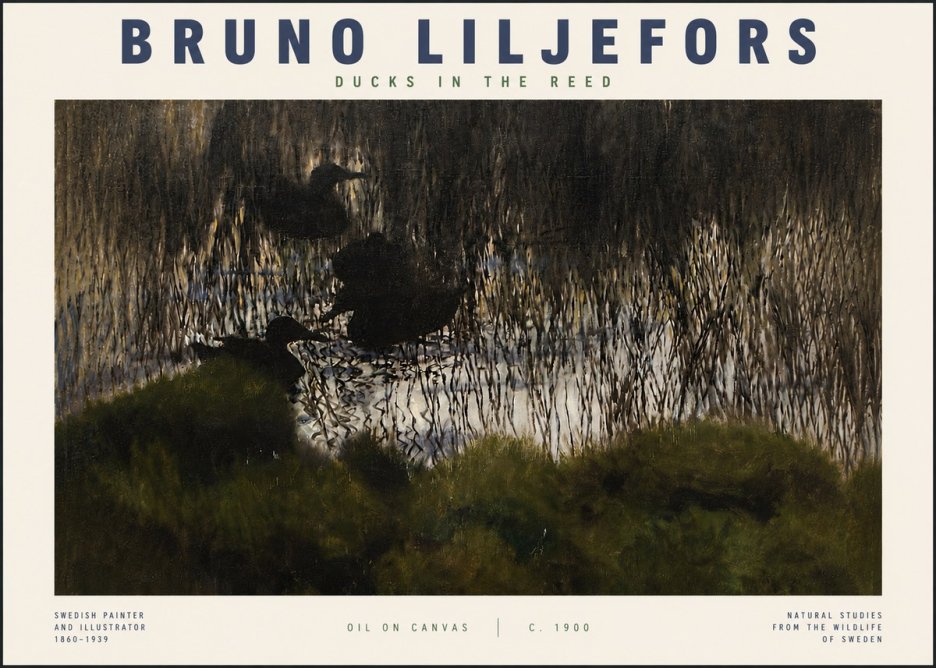 Bruno Liljefors Ducks in the Reed No4 - Póster
