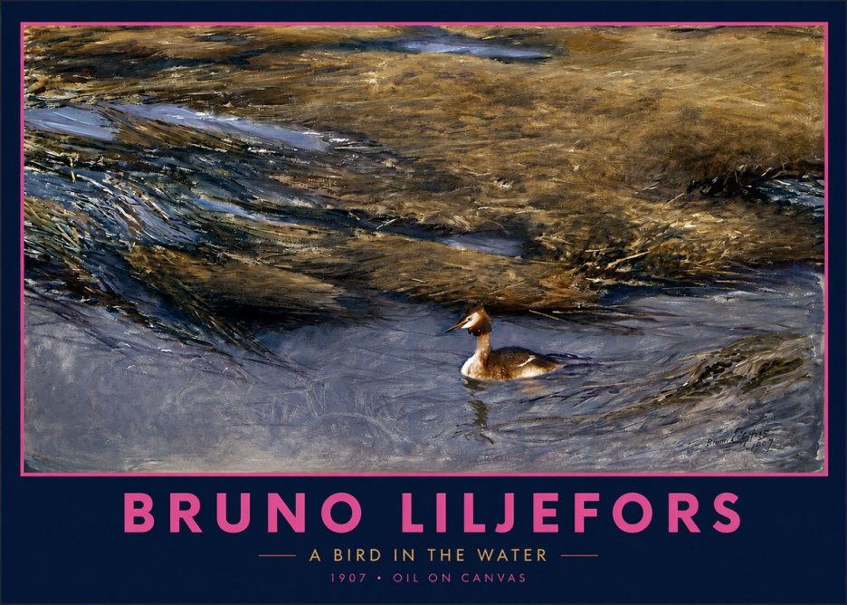 Bruno Liljefors A Bird in the Water No2 - Póster