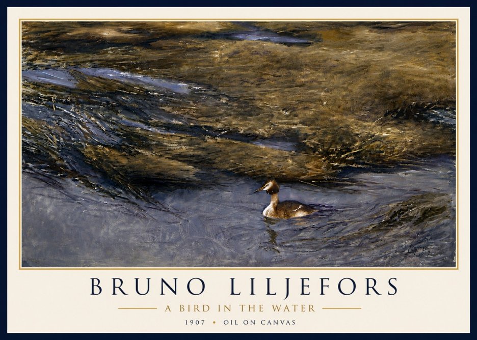Bruno Liljefors A Bird in the Water No6 - Póster