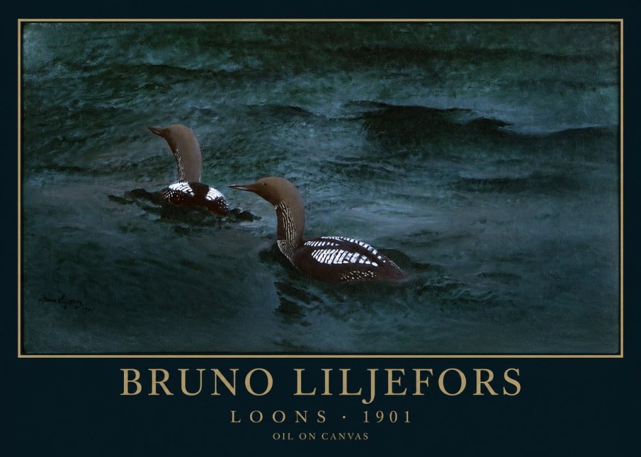 Bruno Liljefors Loons · 1901 No1 - Póster