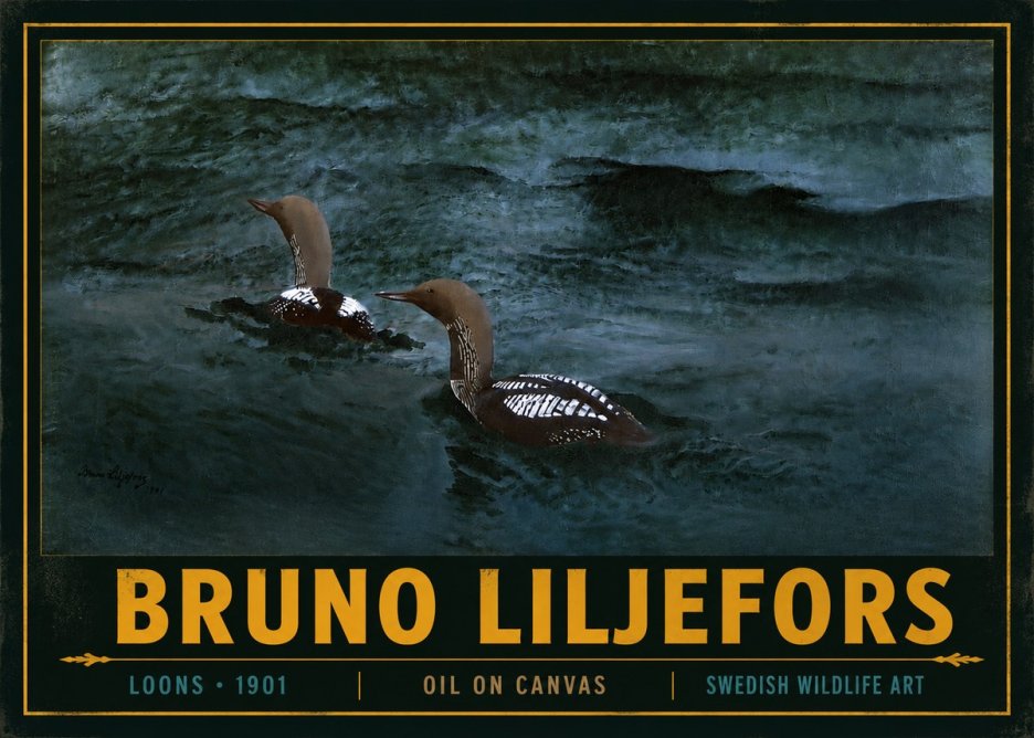 Bruno Liljefors Loons · 1901 No4 - Póster