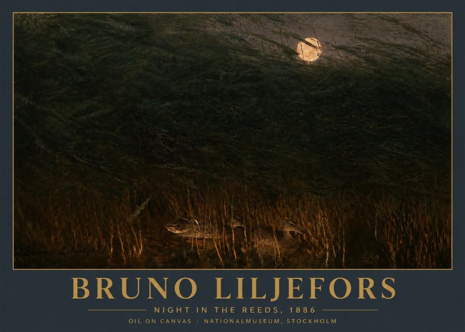 Bruno Liljefors Night in the Reeds No5 - Póster