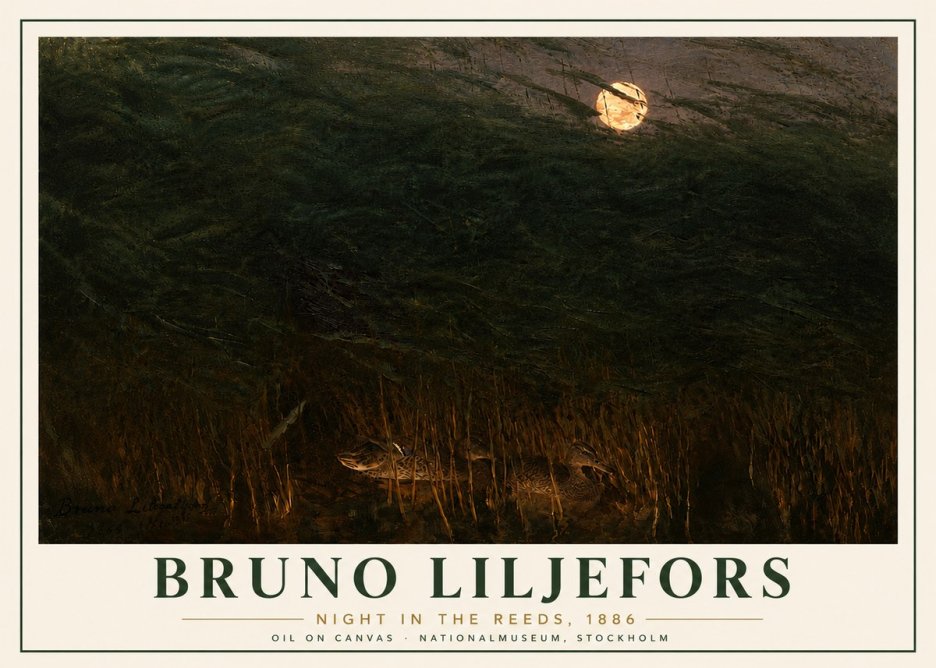 Bruno Liljefors Night in the Reeds No6 - Póster