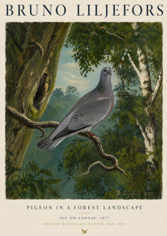 Bruno Liljefors Pigeon in a Forest Landscape No4 - Póster