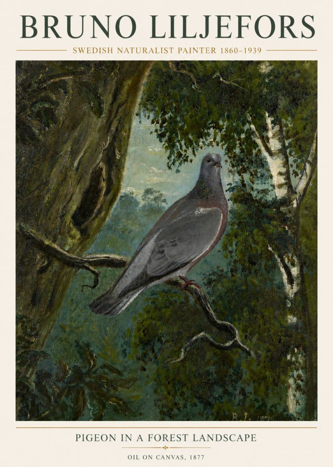 Bruno Liljefors Pigeon in a Forest Landscape No6 - Póster