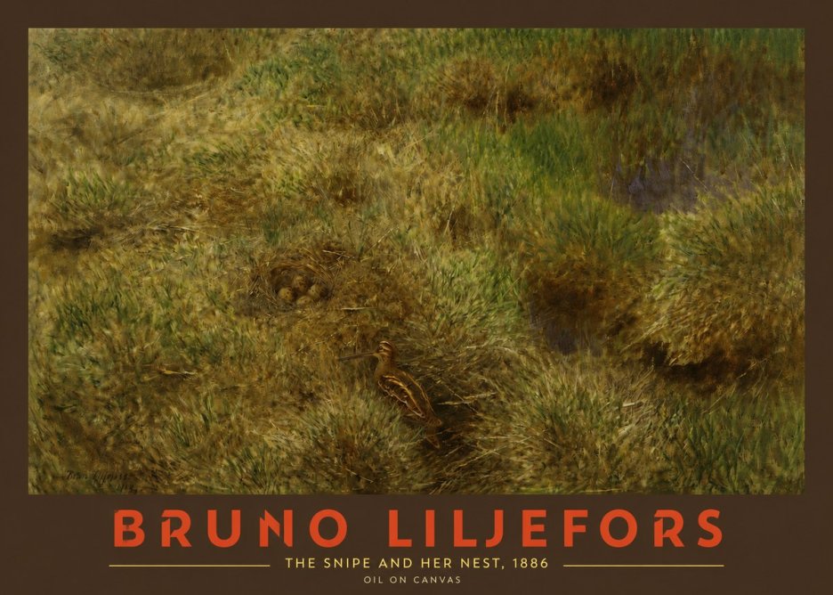 Bruno Liljefors The Snipe and Her Nest No2 - Póster