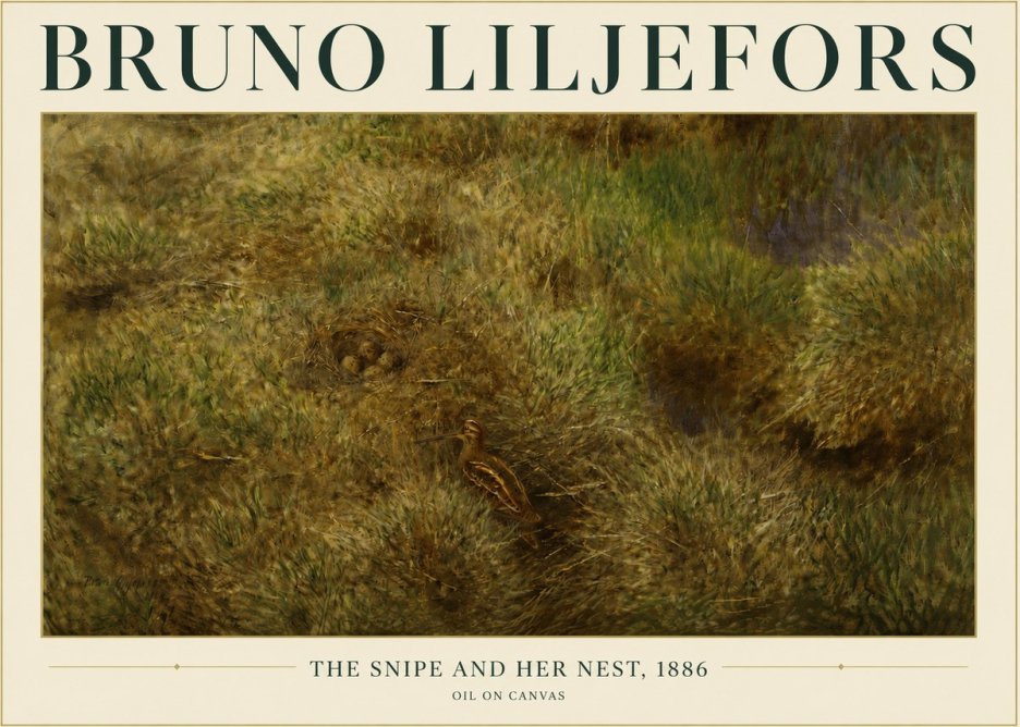 Bruno Liljefors The Snipe and Her Nest No3 - Póster