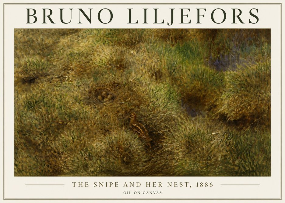 Bruno Liljefors The Snipe and Her Nest No5 - Póster