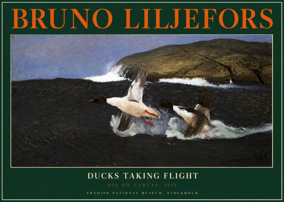 Bruno Liljefors Ducks Taking Flight No2 - Póster
