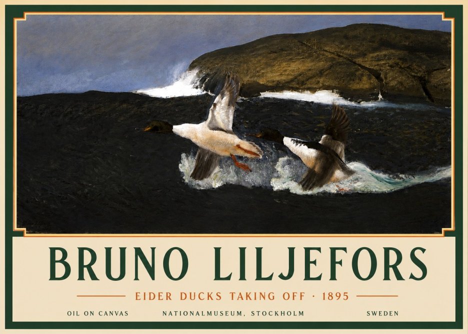 Bruno Liljefors Ducks Taking Flight No5 - Póster