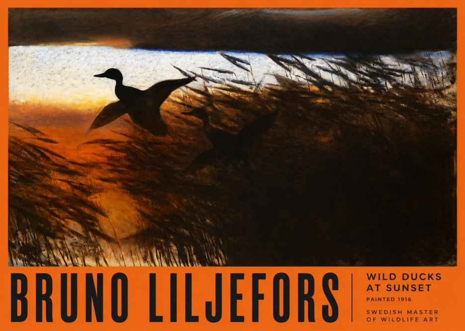 Bruno Liljefors Wild Ducks II No6 - Póster