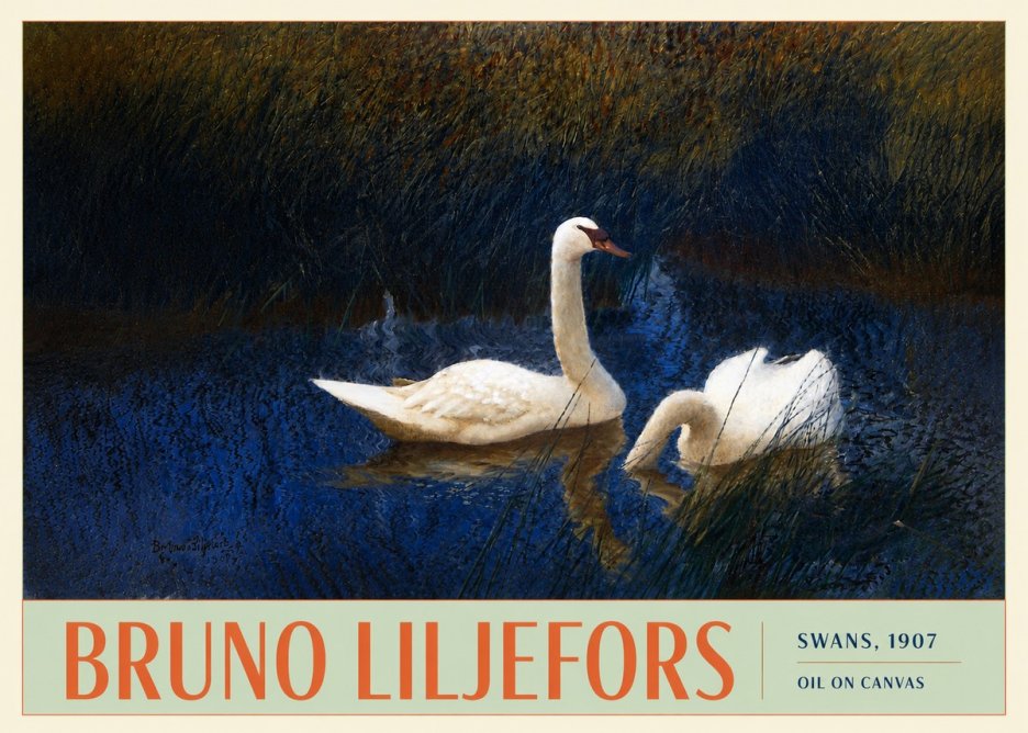 Bruno Liljefors Swans, 1907 No3 - Póster