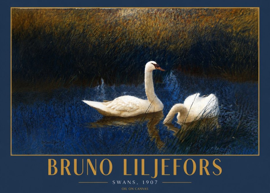 Bruno Liljefors Swans, 1907 No4 - Póster