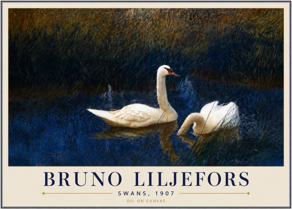 Bruno Liljefors Swans, 1907 No5 - Póster