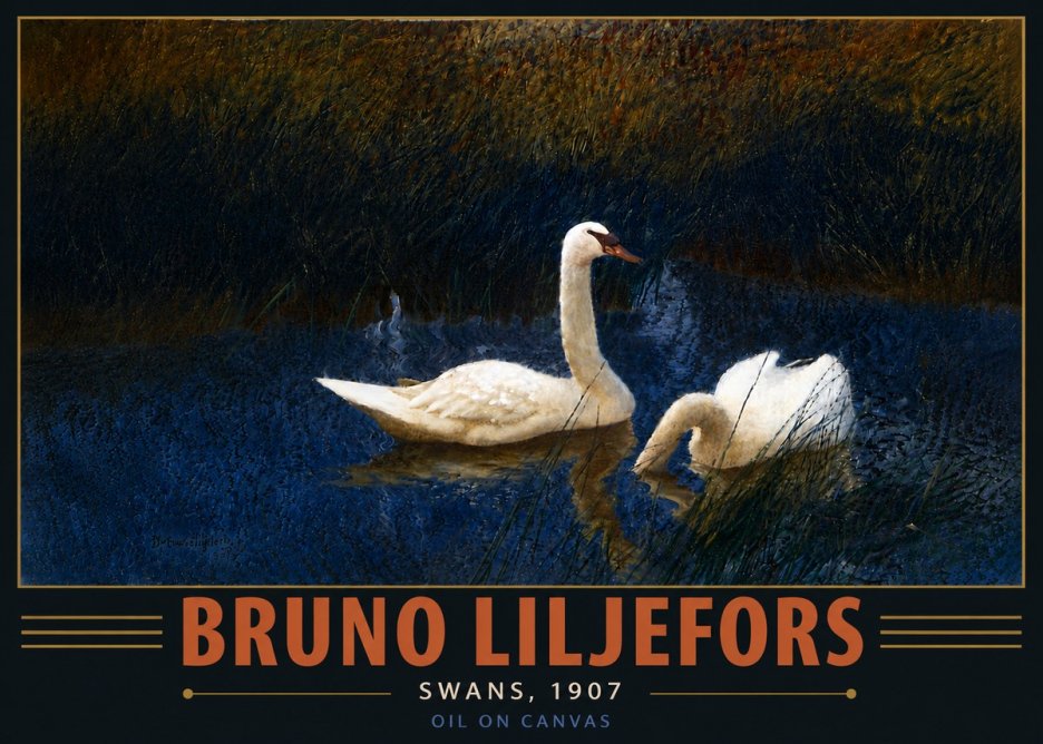Bruno Liljefors Swans, 1907 No6 - Póster