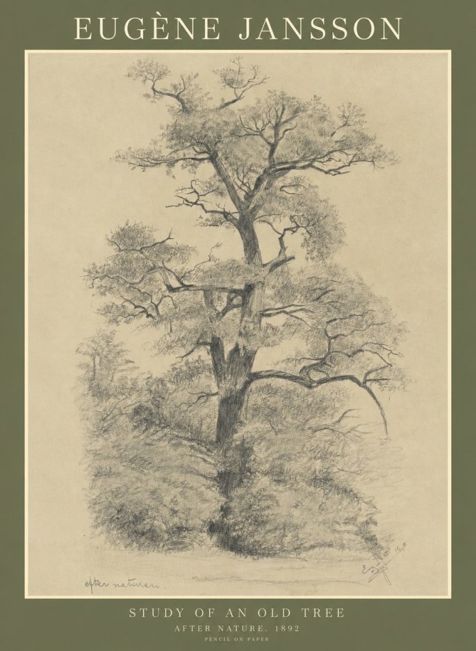 Eugène Jansson Study of an Old Tree No1 - Póster