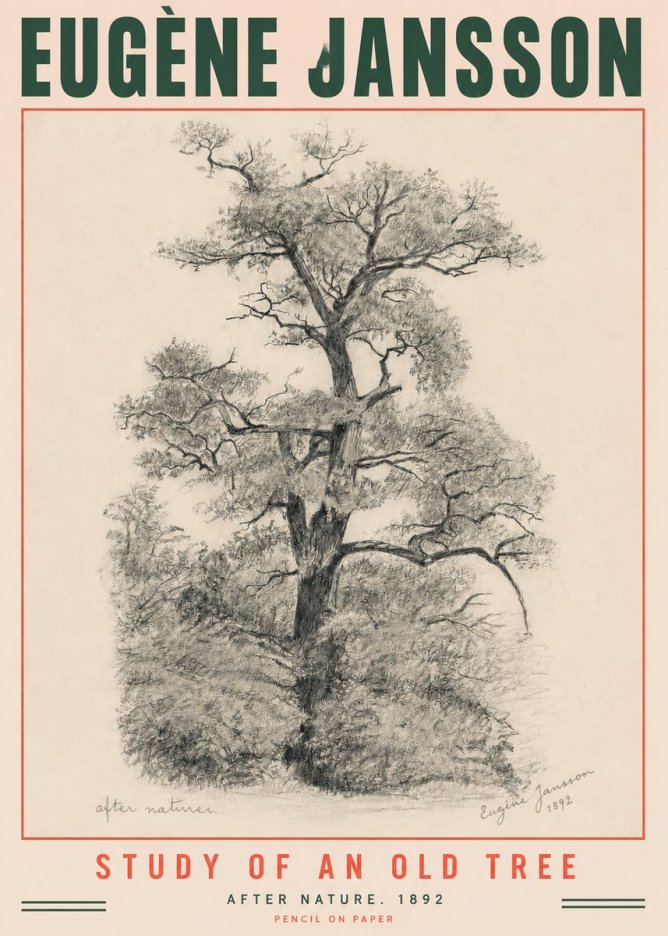 Eugène Jansson Study of an Old Tree No3 - Póster