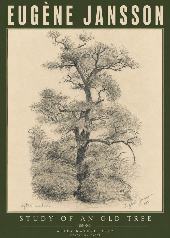 Eugène Jansson Study of an Old Tree No6 - Póster