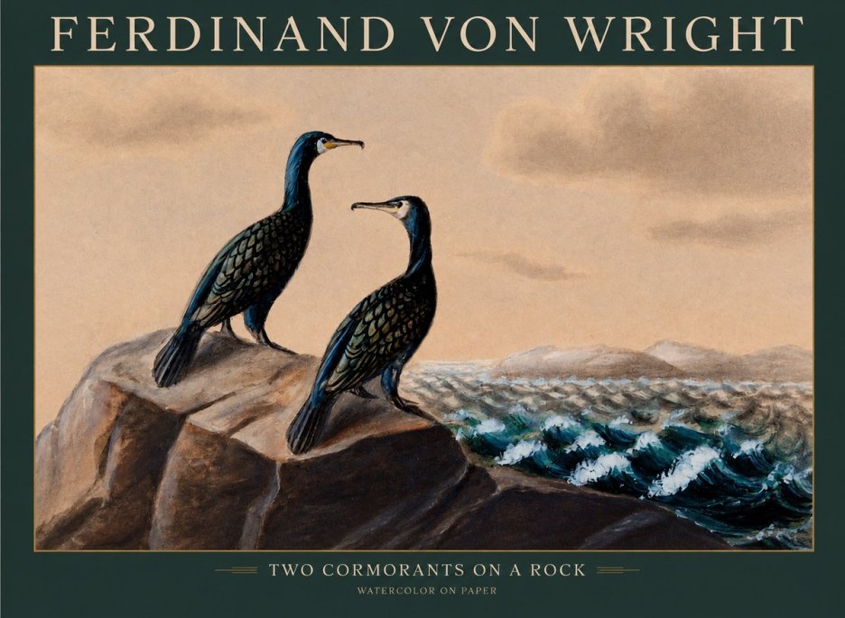 Ferdinand von Wright Two Cormorants on a Rock No1 - Póster