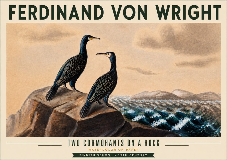 Ferdinand von Wright Two Cormorants on a Rock No6 - Póster