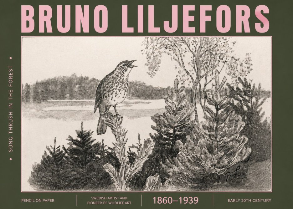 Bruno Liljefors Song Thrush in the Forest No4 - Póster