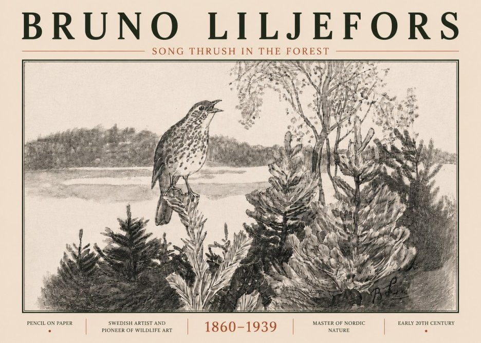 Bruno Liljefors Song Thrush in the Forest No5 - Póster