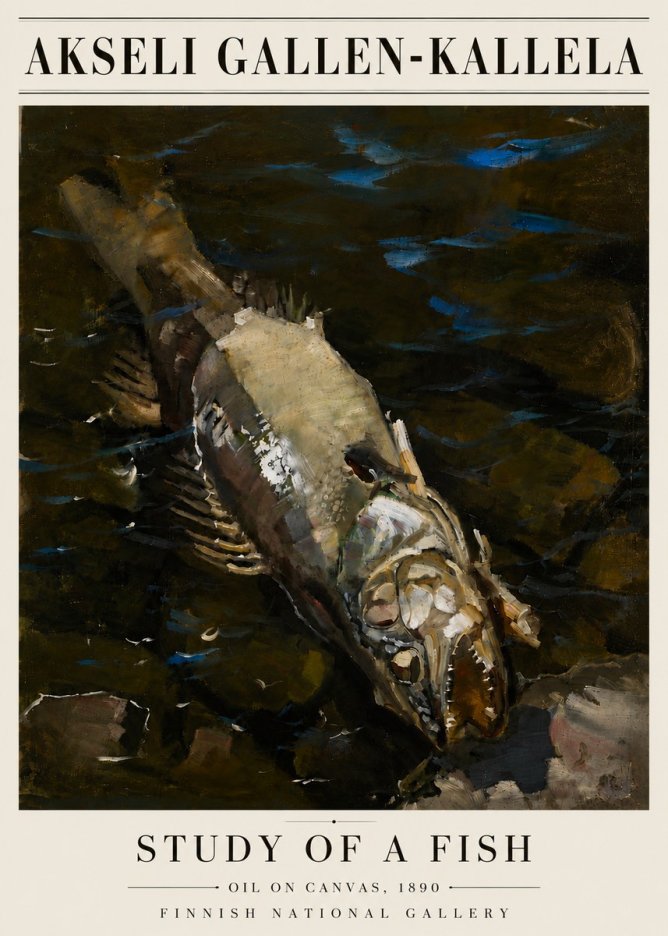 Akseli Gallen-Kallela Study of a Fish No6 - Póster