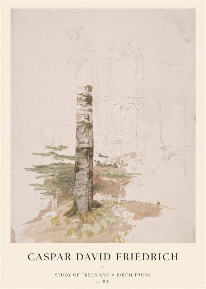 Caspar David Friedrich Study of Trees and a Birch Trunk No1 - Póster