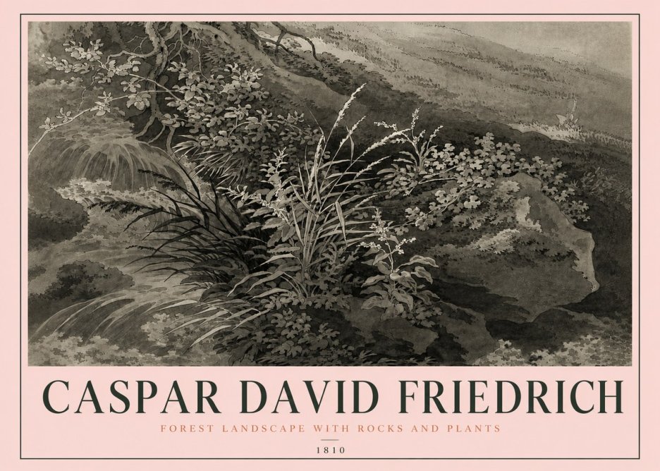 Caspar David Friedrich Forest Landscape with Rocks and Plants No4 - Póster