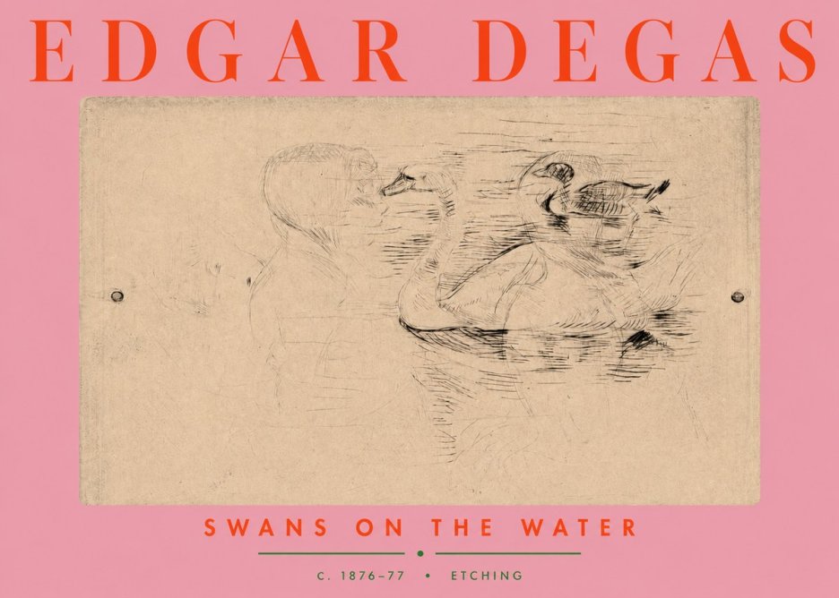 Edgar Degas Swans on the Water No3 - Póster