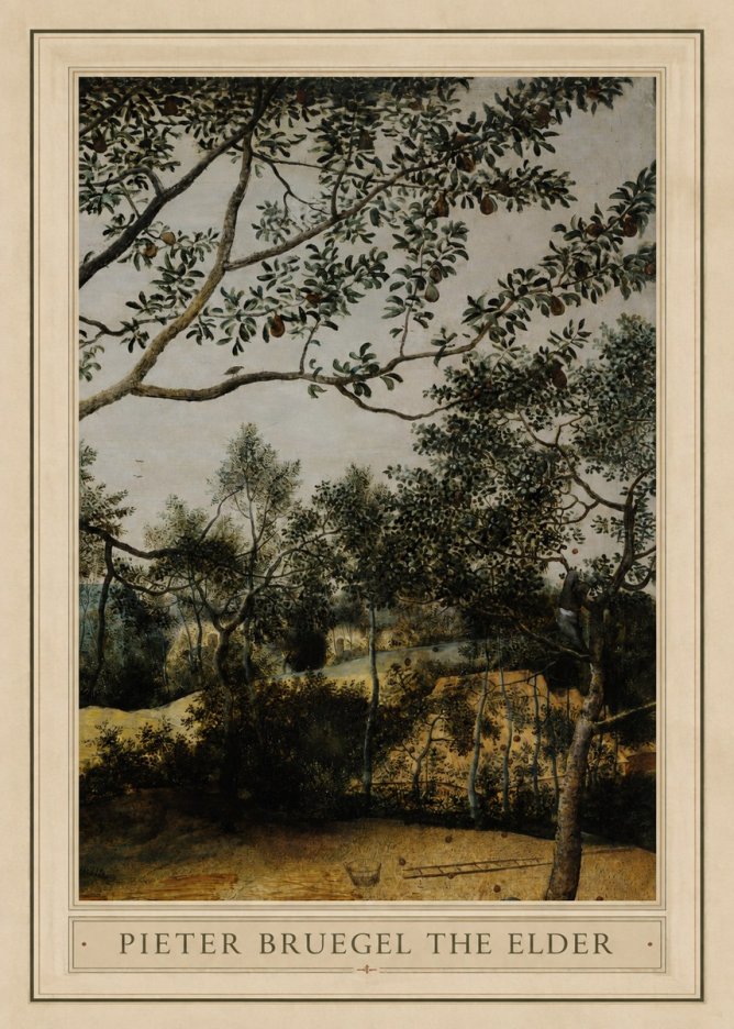 Pieter Bruegel Branch of a Pear Tree No1 - Póster