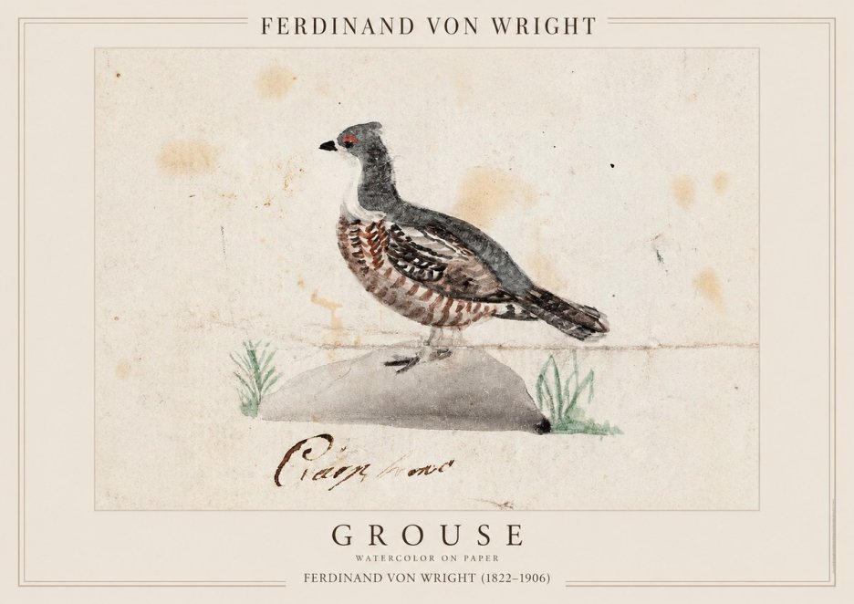 Ferdinand von Wright Grouse No1 - Póster