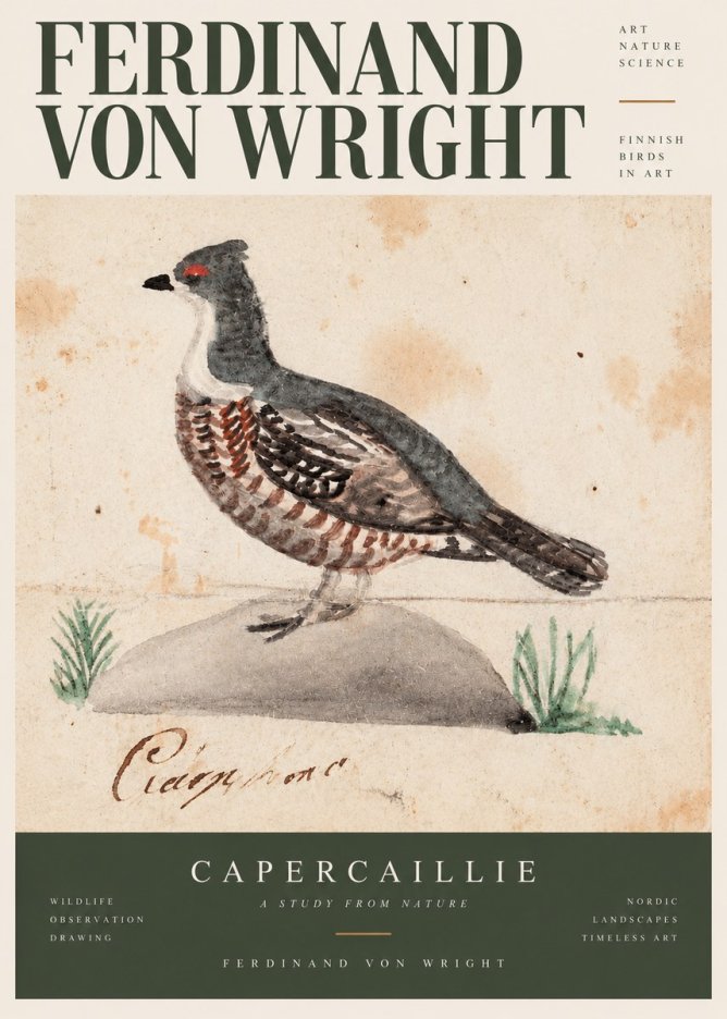 Ferdinand von Wright Grouse No3 - Póster