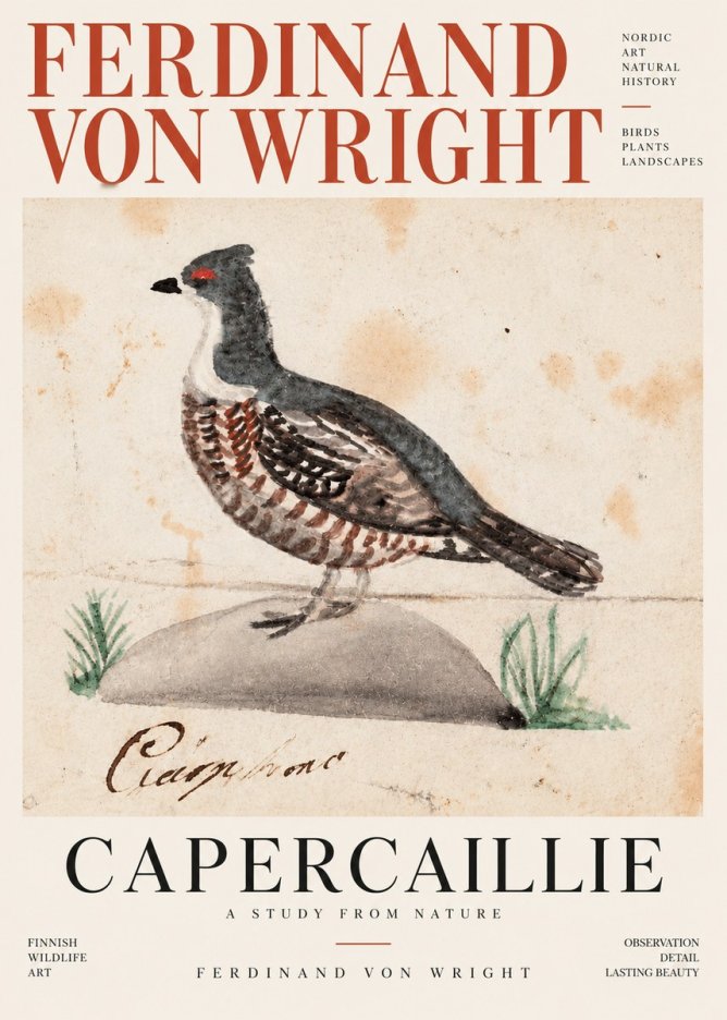 Ferdinand von Wright Grouse No4 - Póster