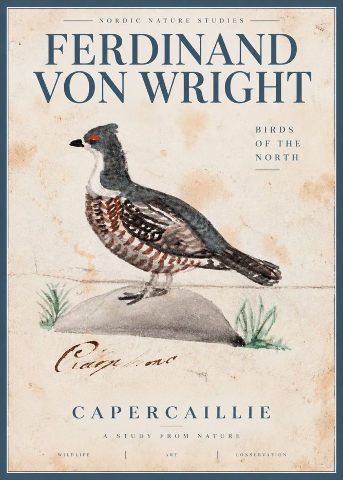 Ferdinand von Wright Grouse No5 - Póster