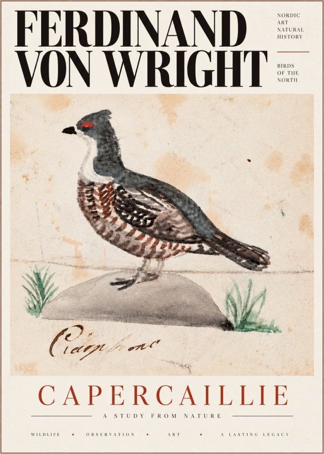 Ferdinand von Wright Grouse No6 - Póster