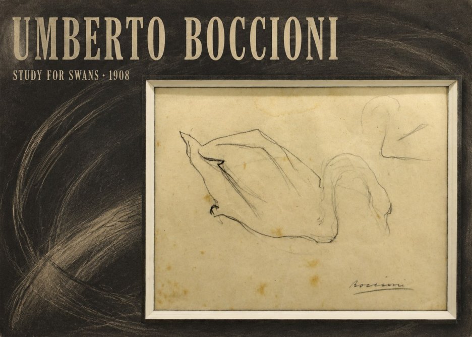 Umberto Boccioni Study for Swans No5 - Póster