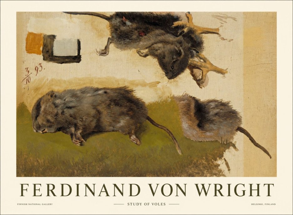 Ferdinand von Wright Studies of Lemmings No2 - Póster