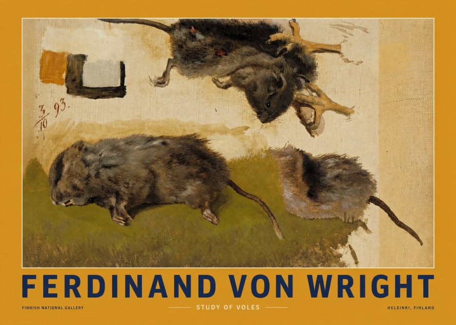 Ferdinand von Wright Studies of Lemmings No3 - Póster