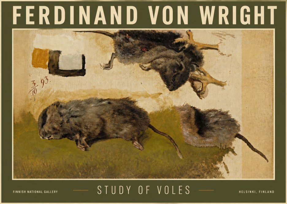 Ferdinand von Wright Studies of Lemmings No6 - Póster