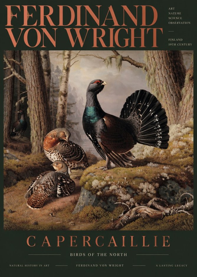 Ferdinand von Wright Wood Grouse in a Forest Landscape No6 - Póster