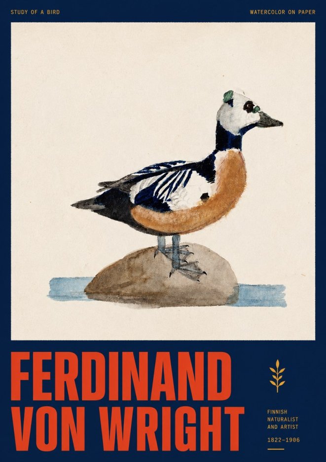 Ferdinand von Wright Study of a Bird No2 - Póster