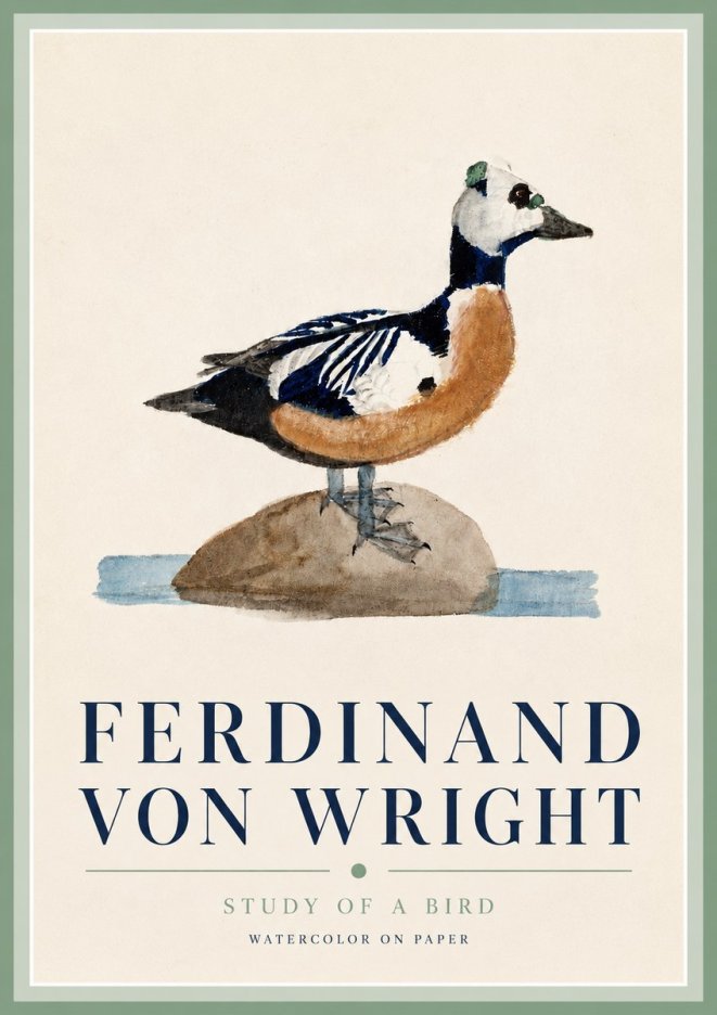 Ferdinand von Wright Study of a Bird No3 - Póster
