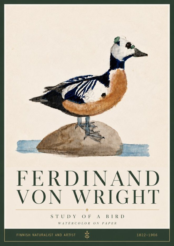 Ferdinand von Wright Study of a Bird No5 - Póster