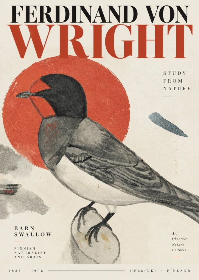 Ferdinand von Wright The Swallow No4 - Póster