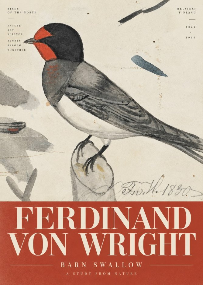 Ferdinand von Wright The Swallow No6 - Póster